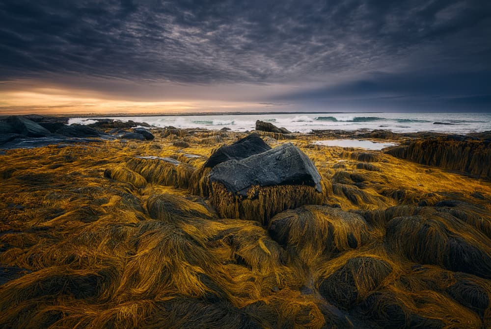 Rugged Seashore Sunset by Ben.C.L — canvas wall art