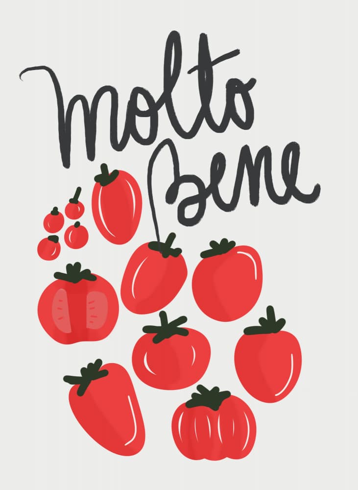 Molto Bene Pomodoro