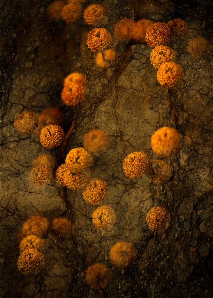 Rustic Orange Texture by Kristina Zvinakeviciute — canvas wall art