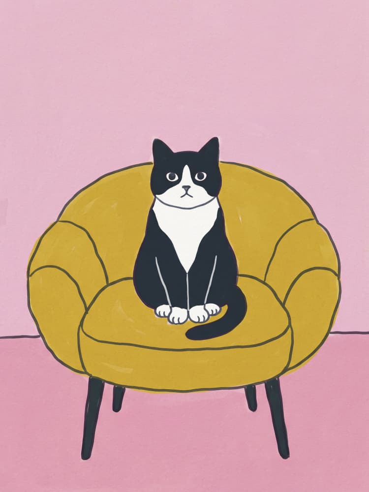 Black Cat Yellow Chair by Andreas Magnusson — canvas wall art