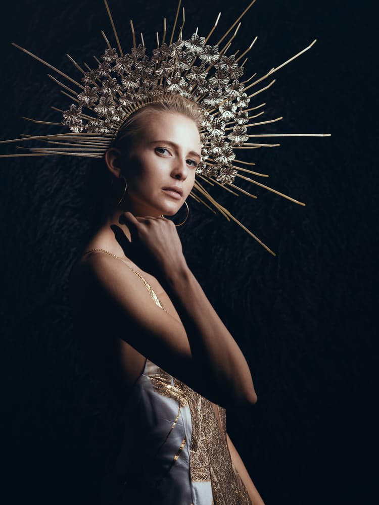 Ethereal Golden Crown by Mike Kreiten — canvas wall art