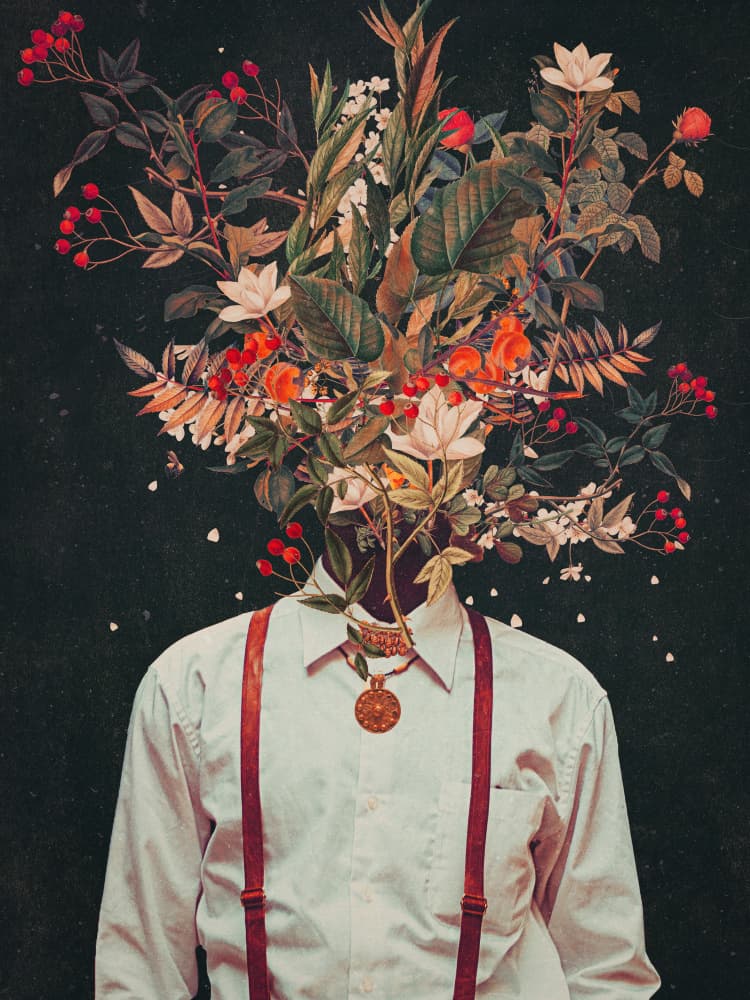 Foliage by Frank Moth by Frank Moth — canvas wall art