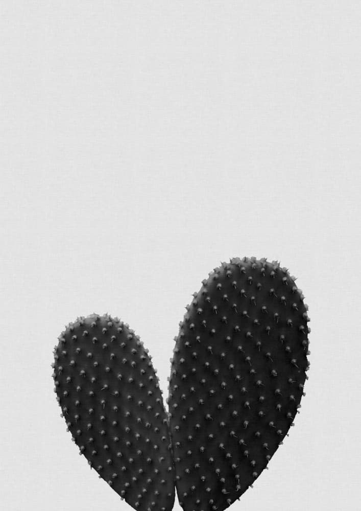 Monochrome Cactus Pads by Orara Studio — canvas wall art