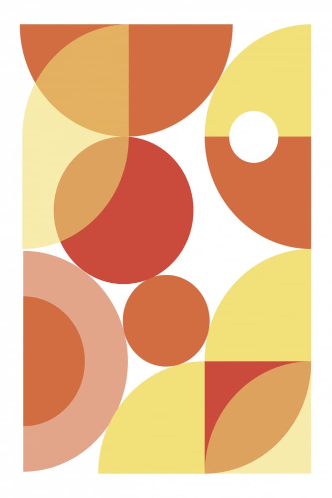Vibrant Geometric Circles by Martina — canvas wall art