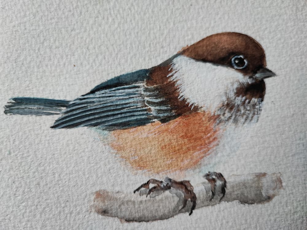 Cute Perched Chickadee by Annette Armitage — canvas wall art