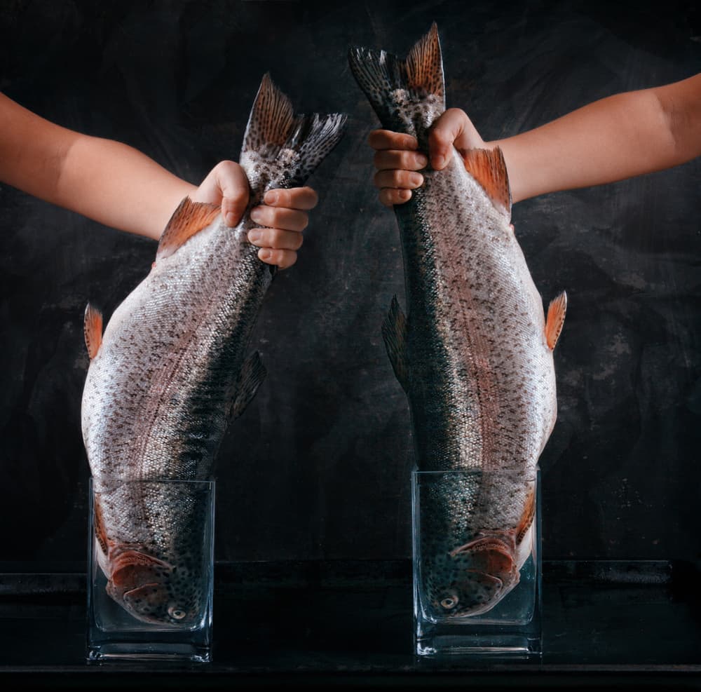 Holding Fresh Fish by Golubeva Nataly — canvas wall art