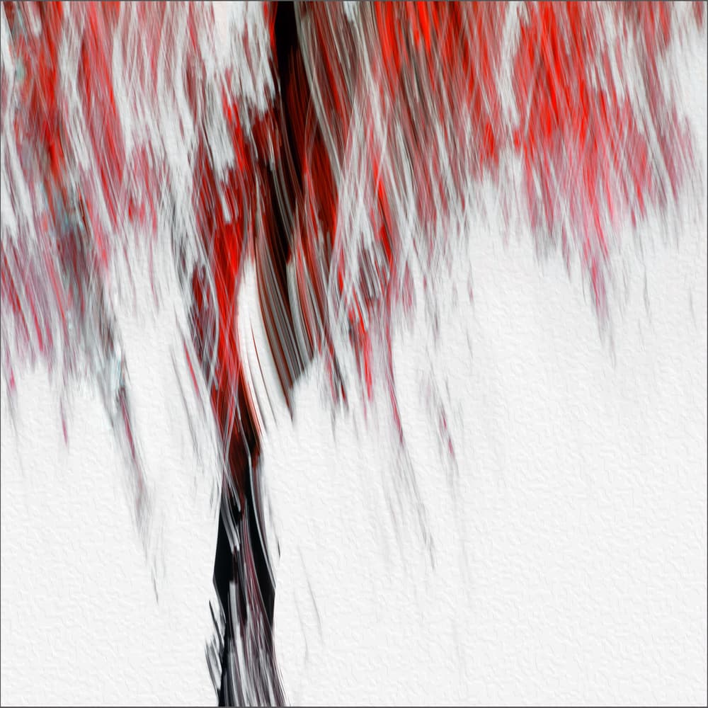 Abstract Red Flow by Gilbert Claes — canvas wall art