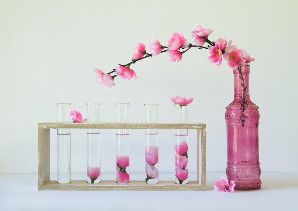 Pink Blossoms in Glass by Jacqueline Hammer — canvas wall art