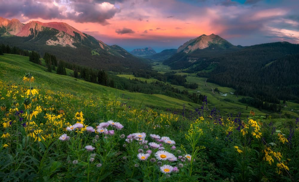 Wildflower Mountain Sunset by Mei Xu — canvas wall art