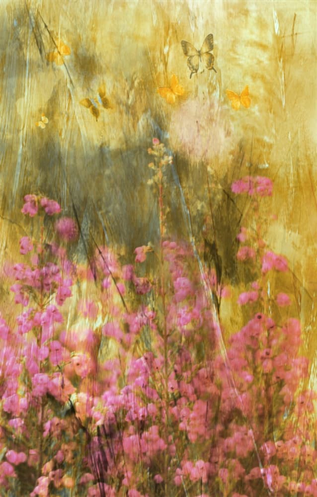 Golden Meadow Butterflies by Delphine Devos — canvas wall art