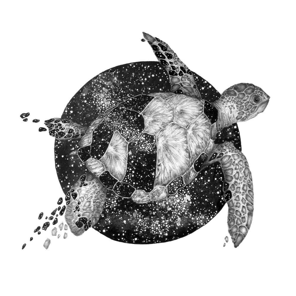 Galaxy Sea Turtle by EC Mazur — canvas wall art