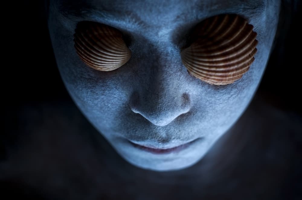 Enigmatic Shell Gaze by Miki Meir Levi — canvas wall art