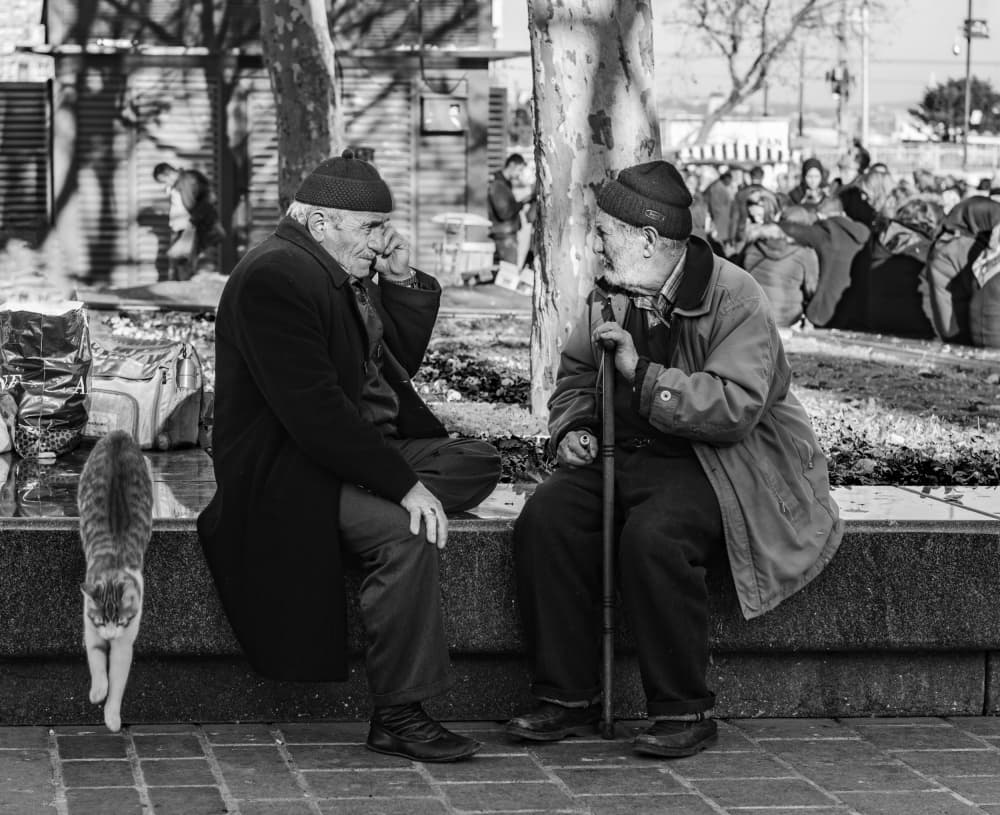 City Conversation With Cat by Ömer Ates Kızıltug — canvas wall art
