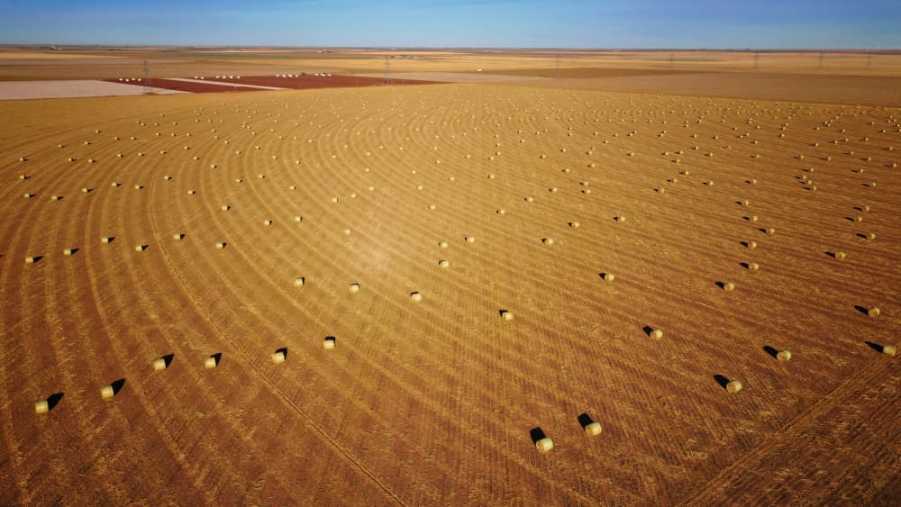 Golden Field Bales by Ming Chen — canvas wall art