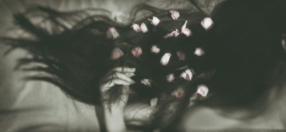 Serene Hair Petals by Sherin.Abdou — canvas wall art