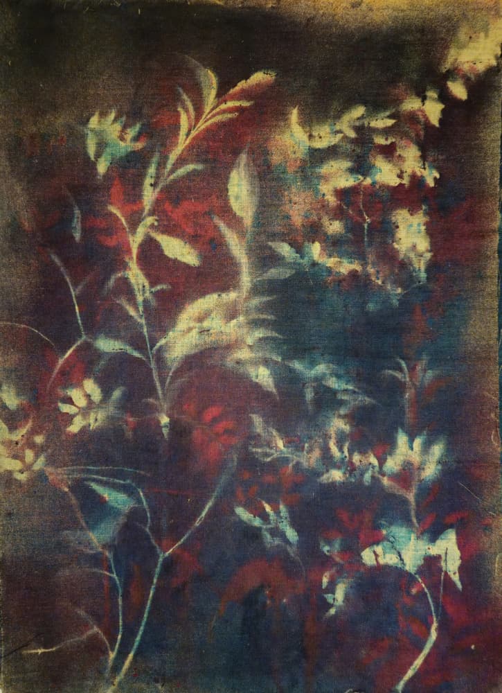 Moody Botanical Foliage by Stefano Mazzolini — canvas wall art