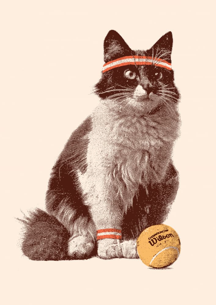 Retro Tennis Cat