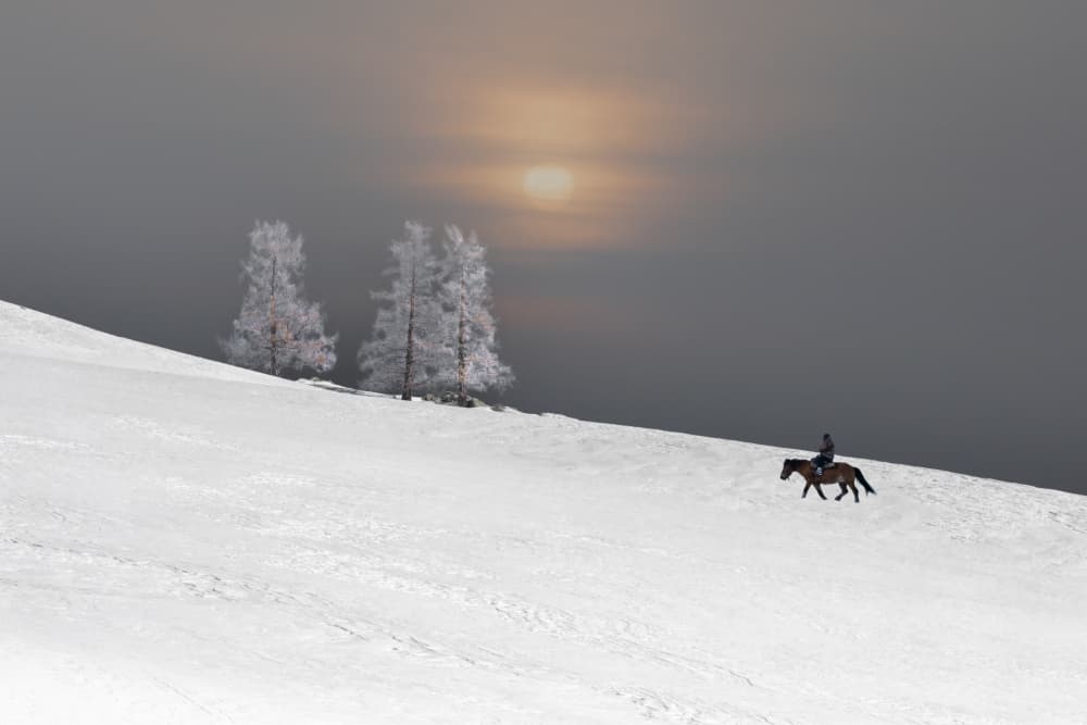 Lone Rider Winter Sun by Hsiao-Yang Fei — canvas wall art