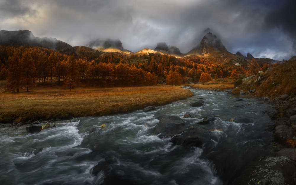Golden Autumn River by Tomasz Rojek — canvas wall art
