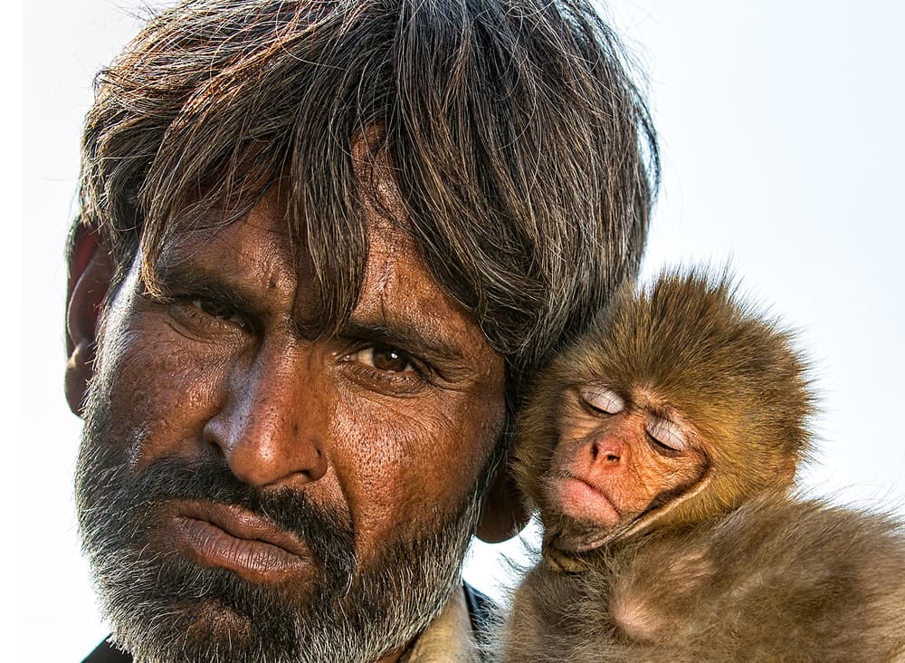 Man and Sleeping Monkey by Sayyed Nayyer Reza — canvas wall art