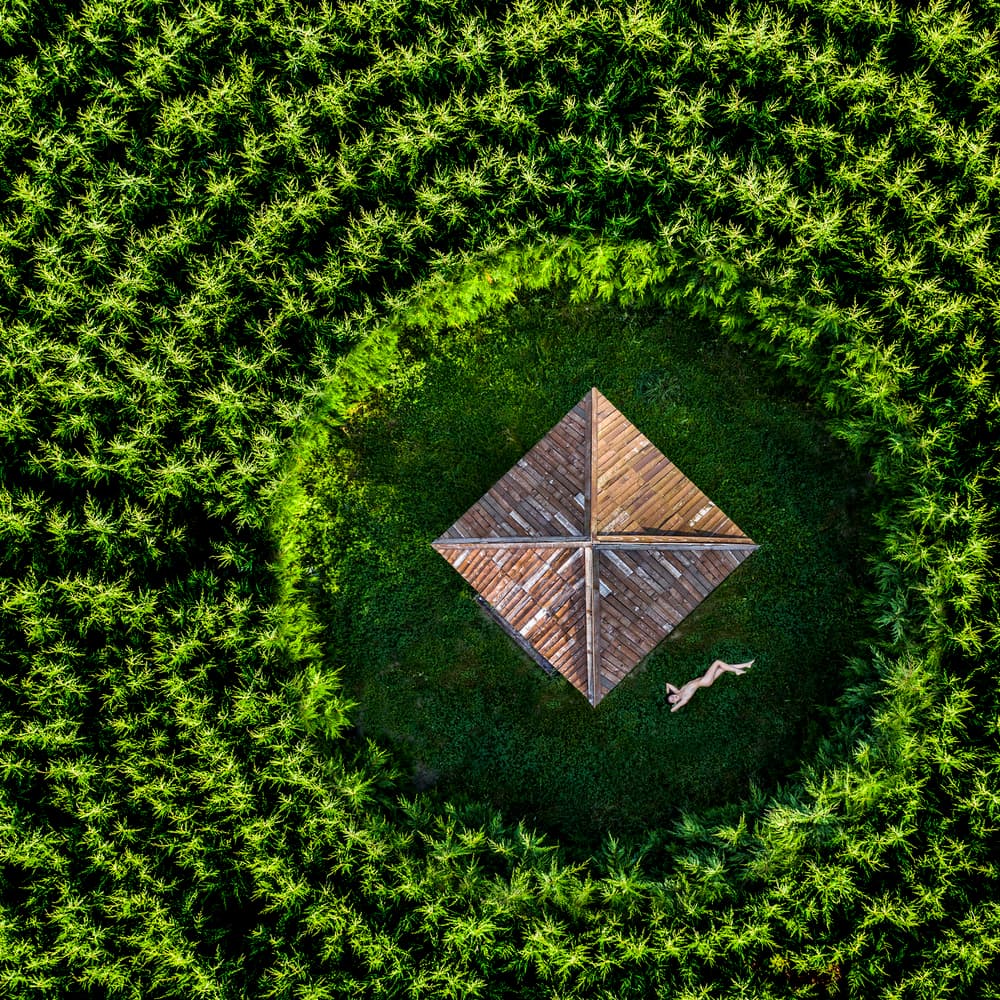 Secluded Green Sanctuary by Ovi D. Pop — canvas wall art