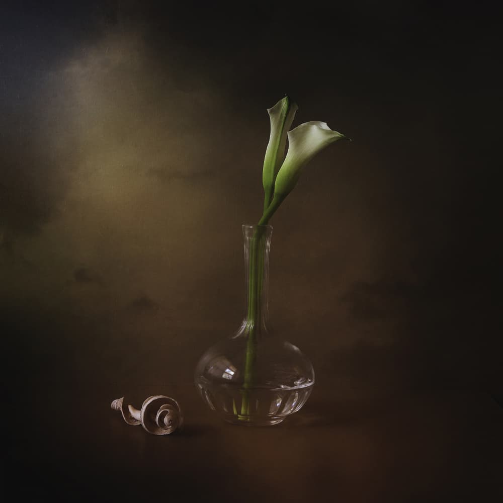 Elegant Calla Lilies by Margaret Halaby — canvas wall art