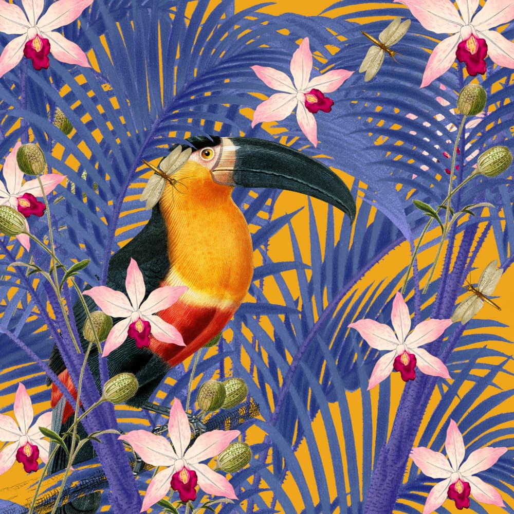 Vibrant Tropical Toucan by Marja van den Hurk — canvas wall art
