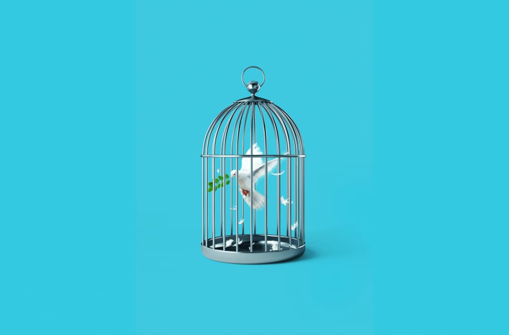 Peaceful Dove Hope by Artem Pozdniakov — canvas wall art