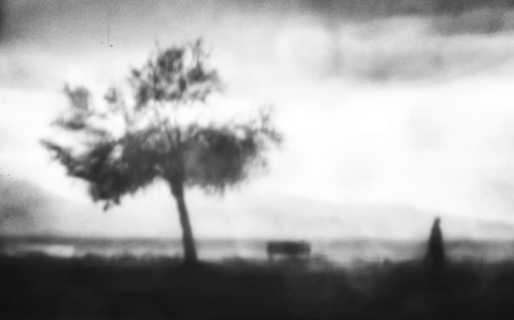 Solitary Tree Landscape by Ali Ayer — canvas wall art