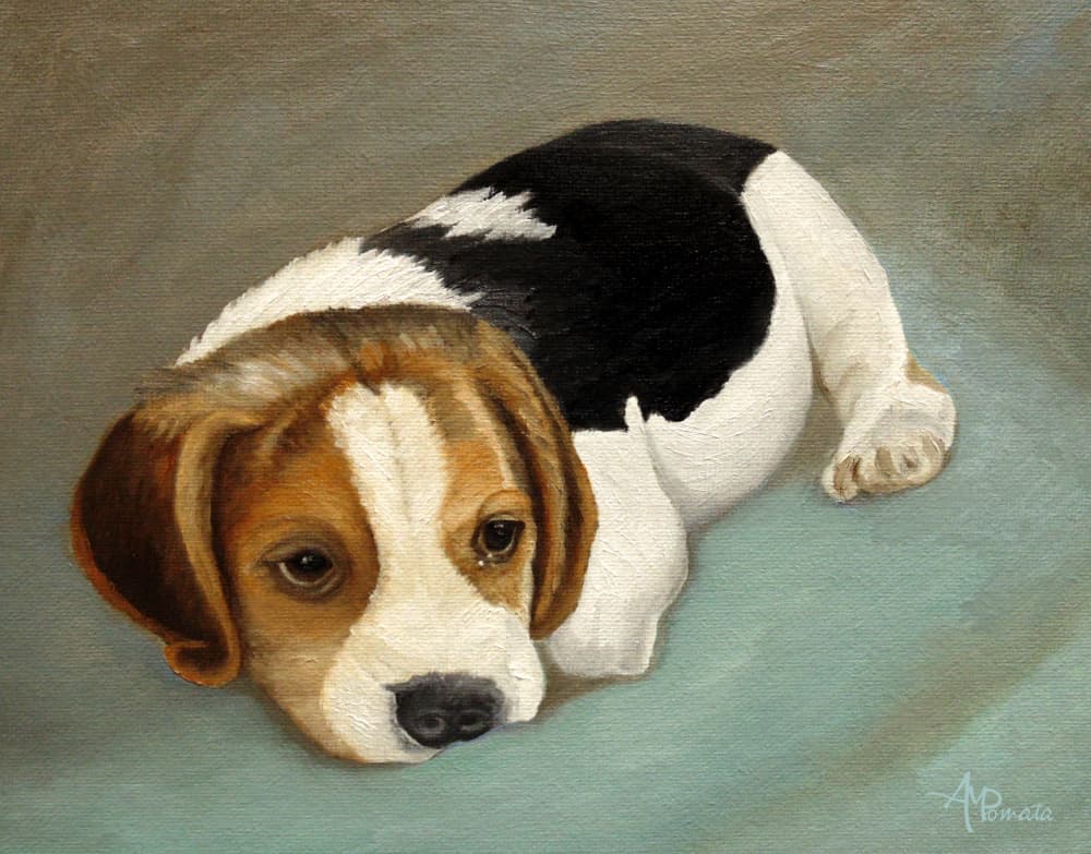 Sad Beagle Puppy by Angeles M. Pomata — canvas wall art