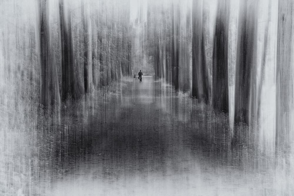 Dreamy Forest Journey by Marie-anne Stas — canvas wall art