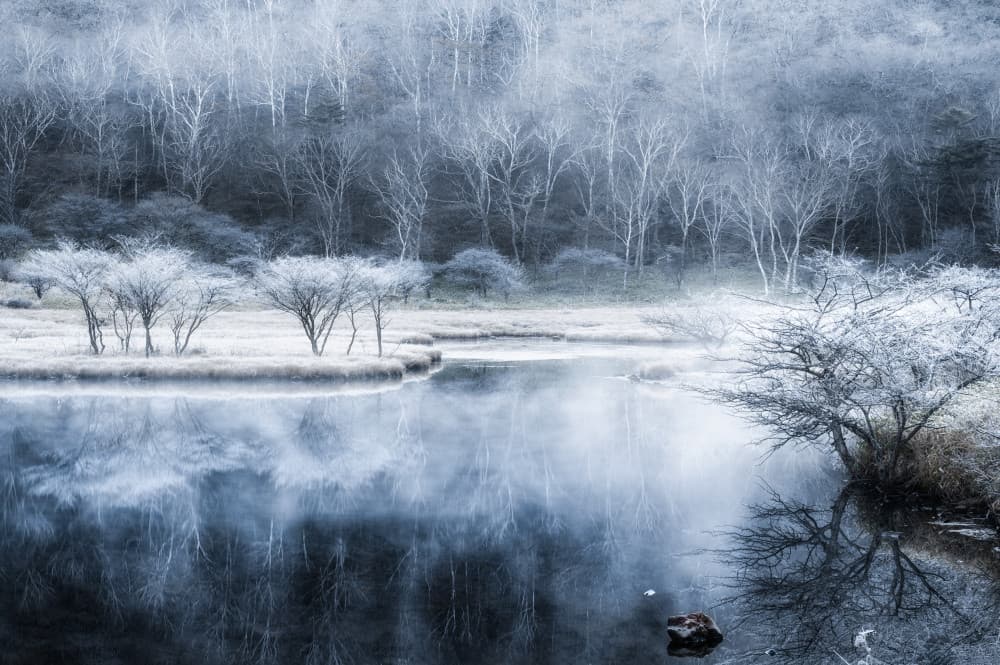 Frosted Winter Lake by Daiki Suzuki — canvas wall art