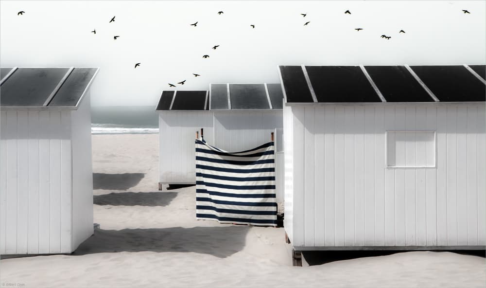 Birds Over White Huts by Gilbert Claes — canvas wall art