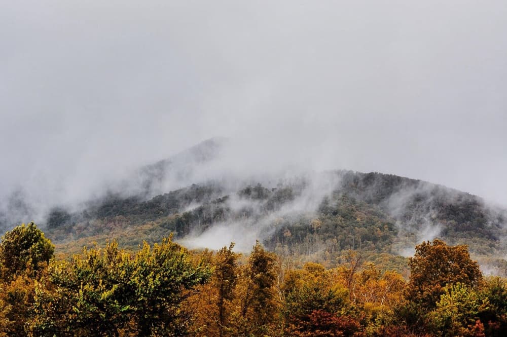 Misty Autumn Mountains by Del Mundo Imagery — canvas wall art
