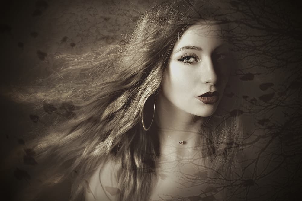 Mysterious Forest Gaze by Adela Lia Rusu — canvas wall art