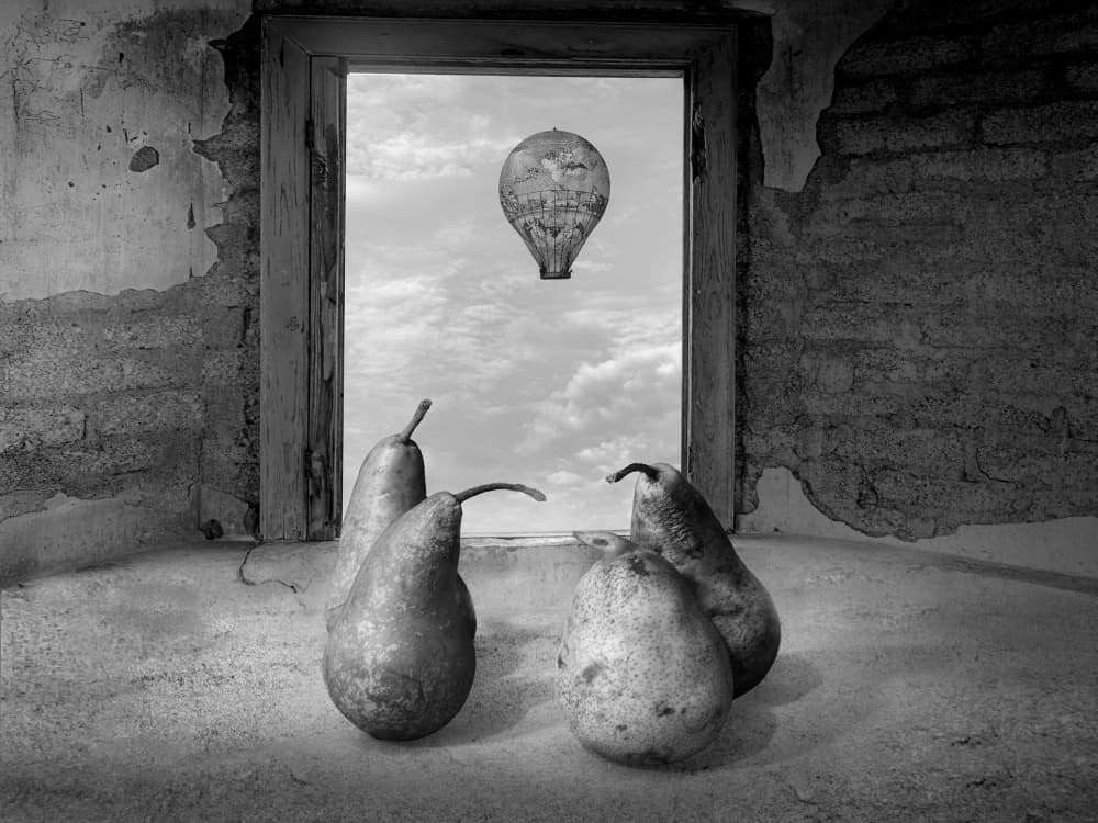 Surreal Pears Window by Montserrat Alviani — canvas wall art