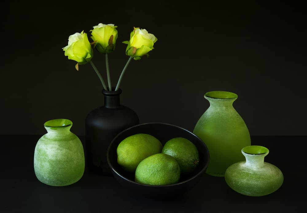 Elegant Green Still Life by Jacqueline Hammer — canvas wall art