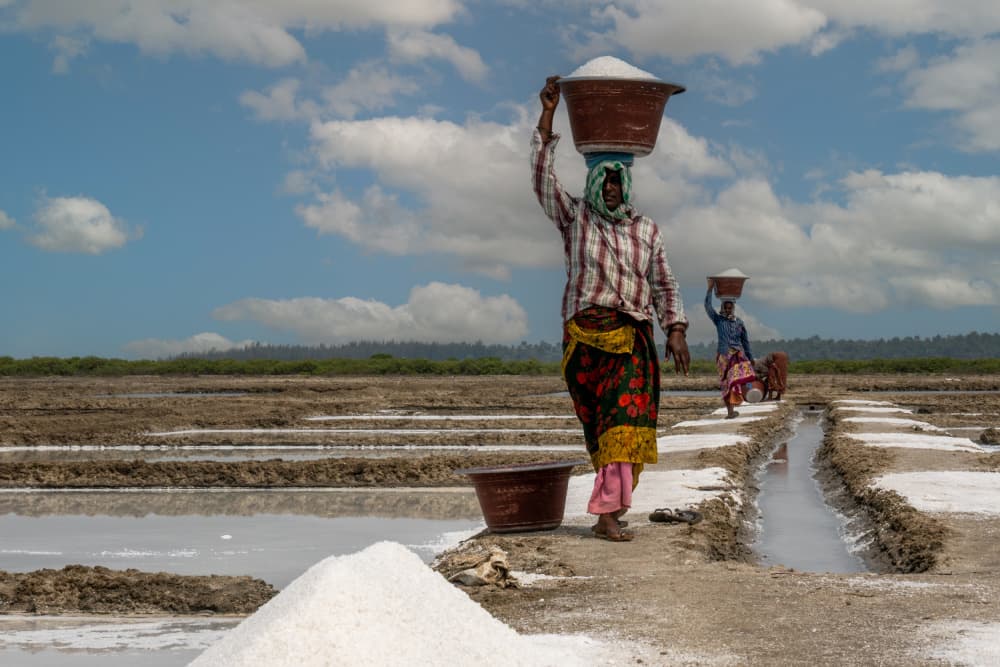 Salt Farm Women by Corinne Spector — canvas wall art