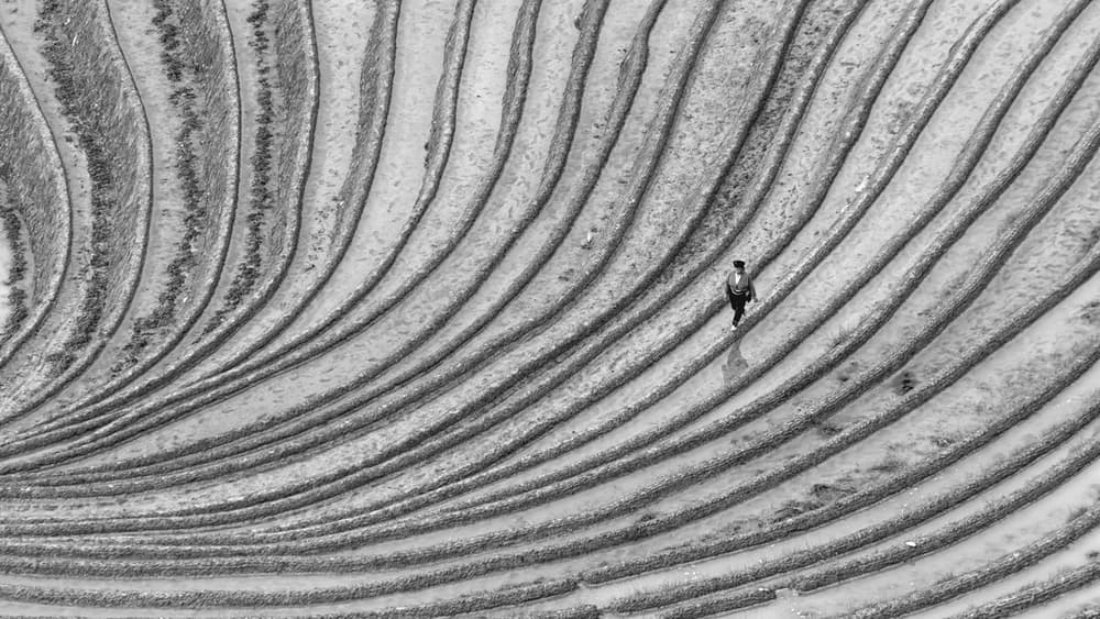 Walking Terraced Curves by Gunarto Song — canvas wall art