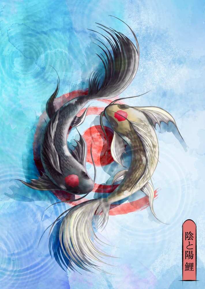 Yin Yang Koi Fish by Fadil Roze — canvas wall art