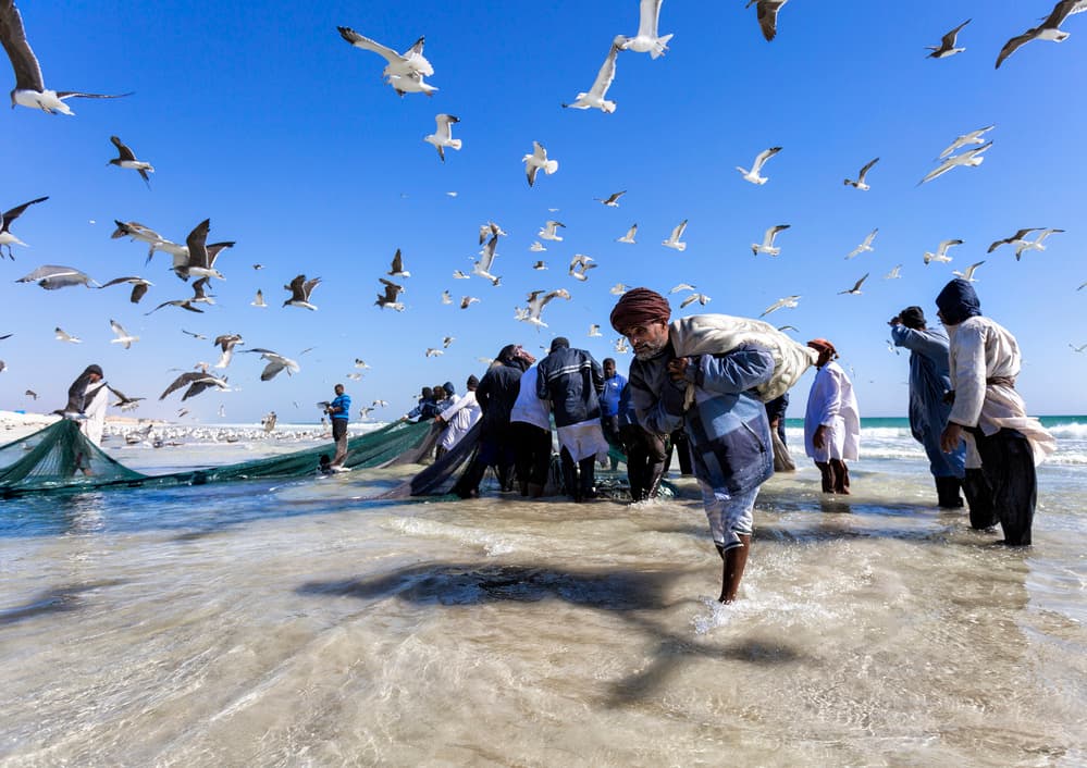 Ocean Fishermen and Gulls by Haitham AL Farsi — canvas wall art
