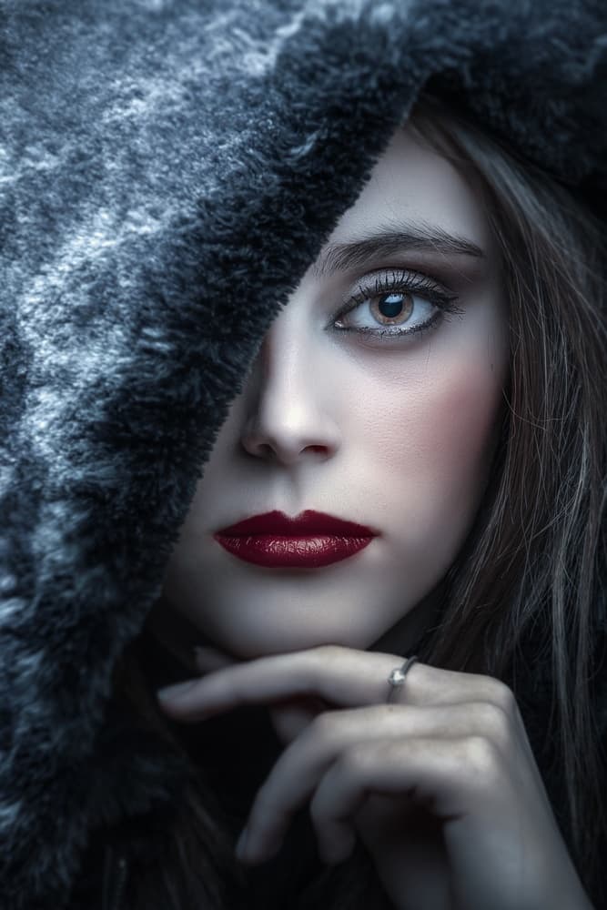 Mysterious Fur Gaze by Domenico Petrocca — canvas wall art