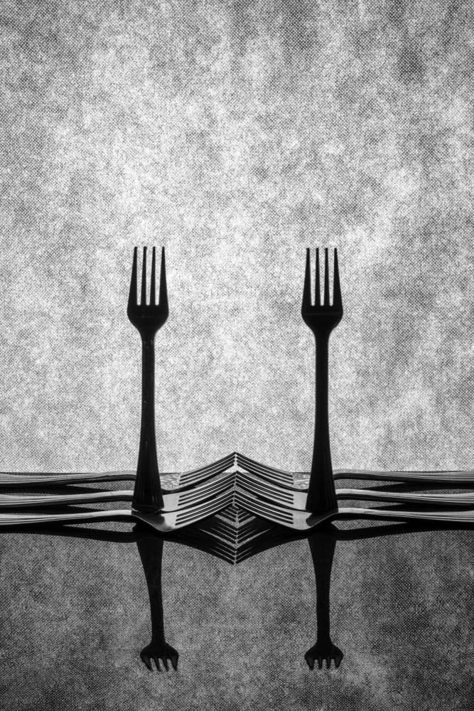 Symmetrical Forks Monochrome by Brig Barkow — canvas wall art