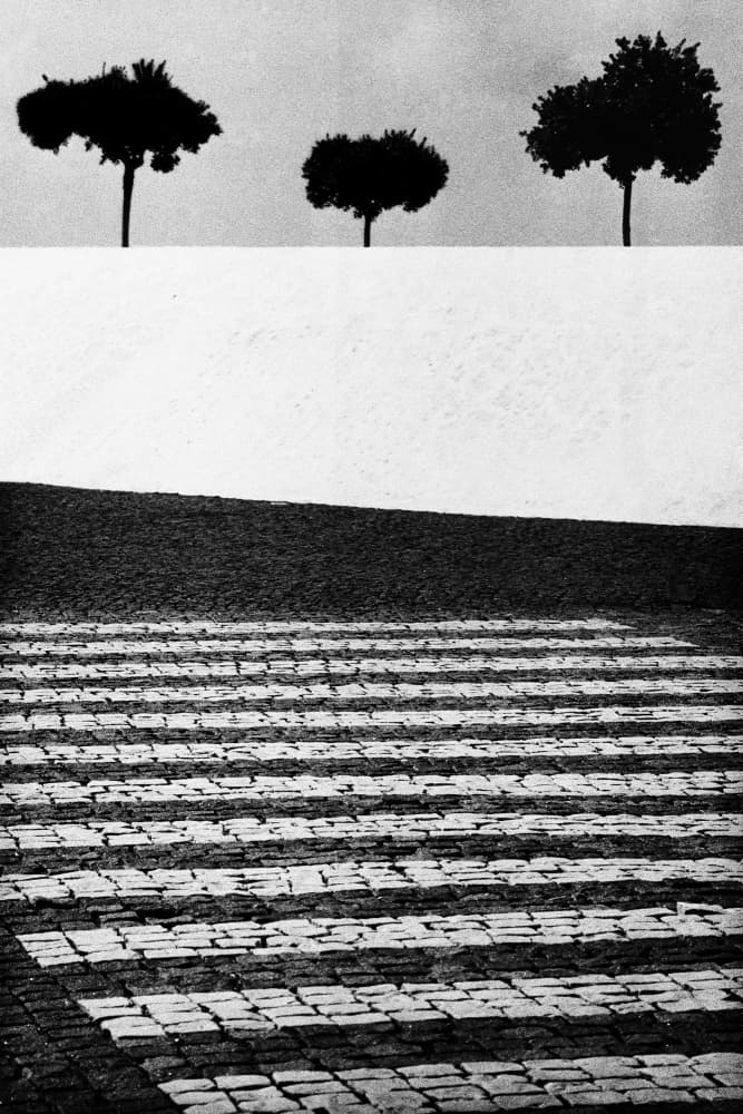 Monochrome Striped Shadows by Paulo Abrantes — canvas wall art