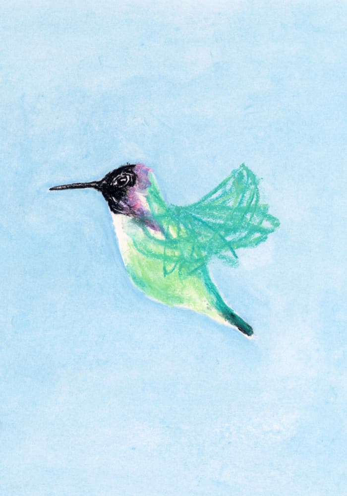 Green Hummingbird Flight by Martina Scott — canvas wall art