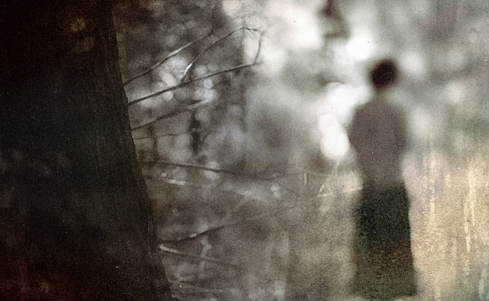 Quiet Forest Figure by Teruhiko Tsuchida — canvas wall art