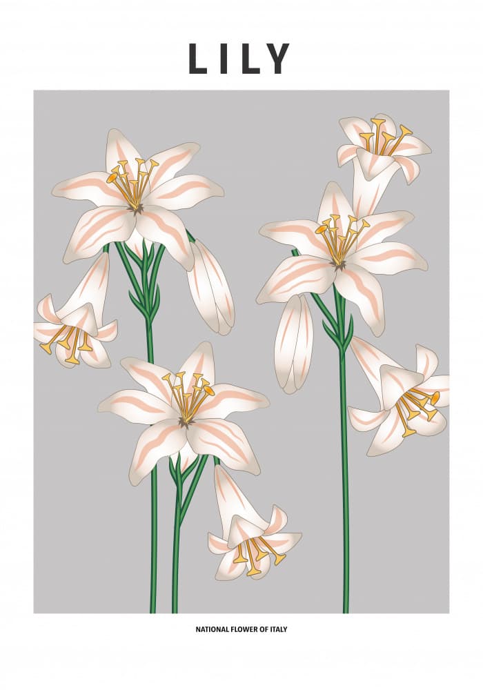 Elegant White Lilies by Paperago — canvas wall art