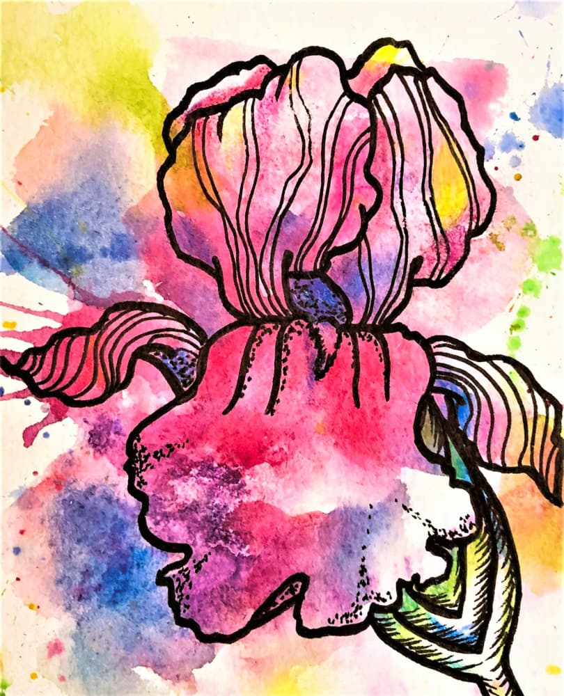 Vibrant Watercolor Iris by Anda Bieza — canvas wall art