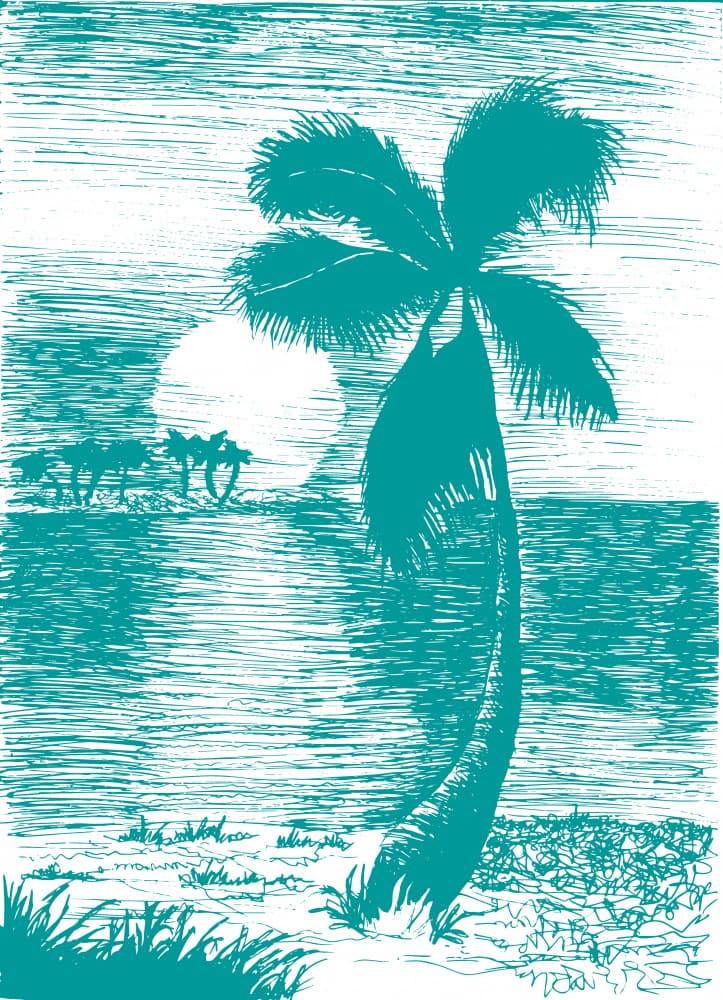 Tropical Sunset Palm by Marika Barsrsind β canvas wall art