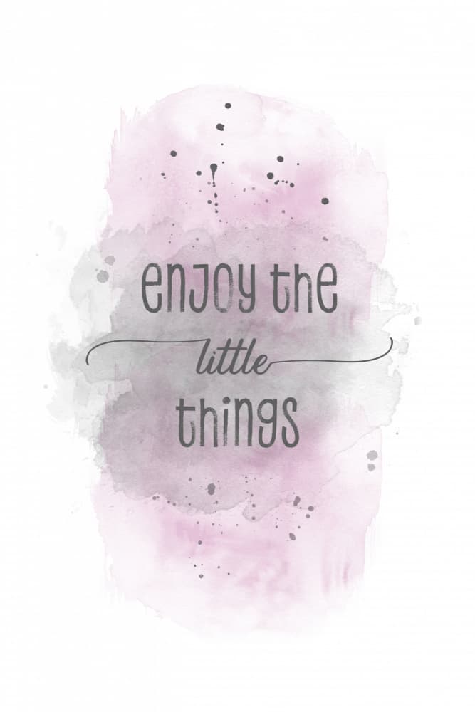 Enjoy The Little Things by Melanie Viola — canvas wall art